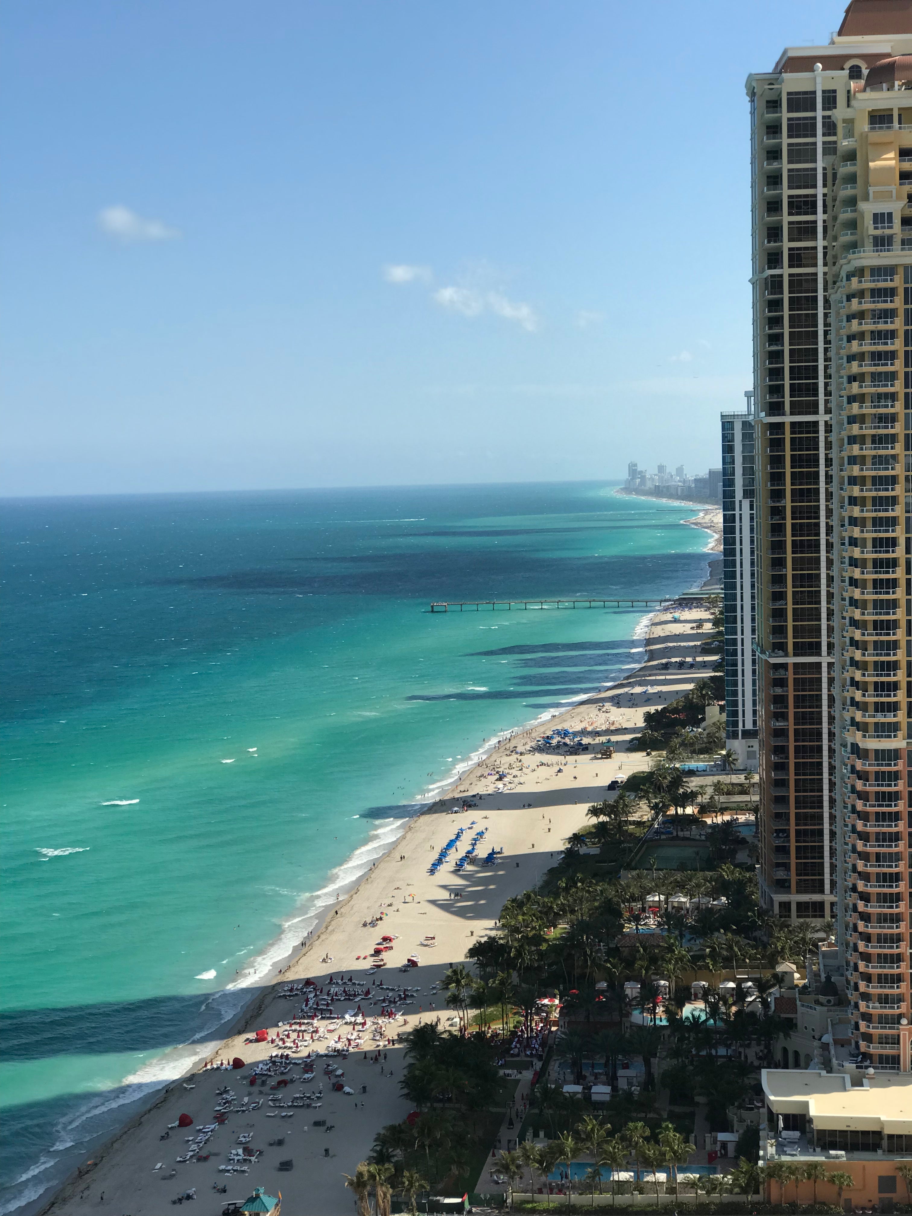 TOP 9 MIAMI COFFEE SHOPS TO TRY